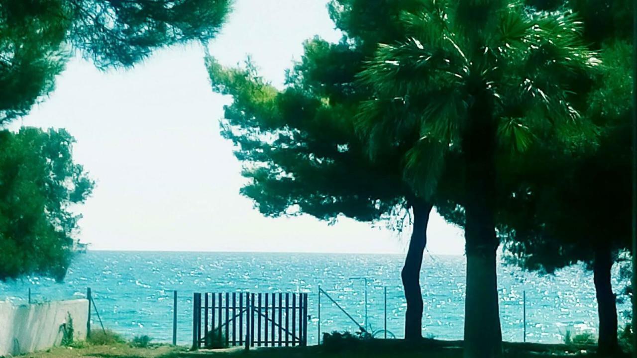 Seafront Villa Joan 네아 스키오니 외부 사진