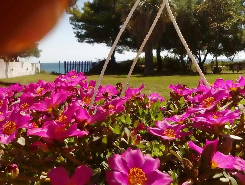 Seafront Villa Joan 네아 스키오니 외부 사진